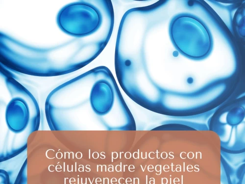 Cómo los productos con células madre vegetales rejuvenecen la piel