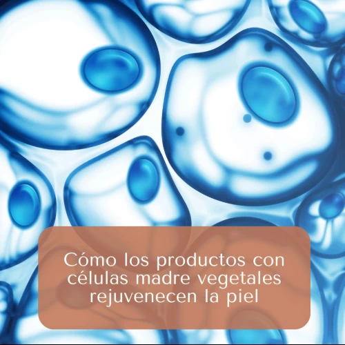 Cómo los productos con células madre vegetales rejuvenecen la piel